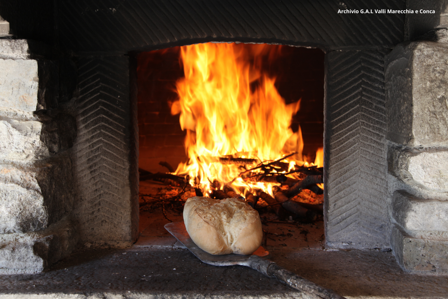 pane maiolo